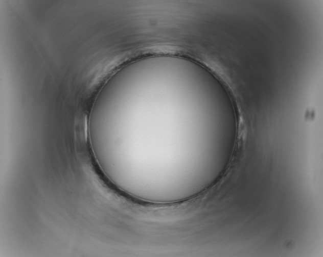 X0000113590013200910021728