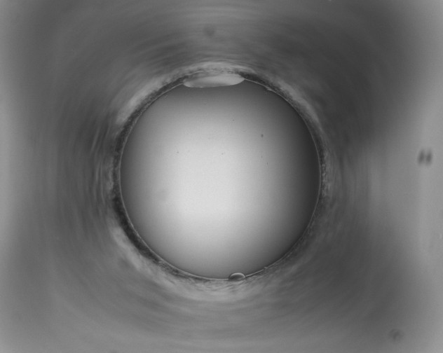 X0000113590015200910021728