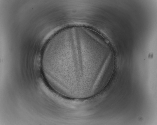 X0000113590016200910021728