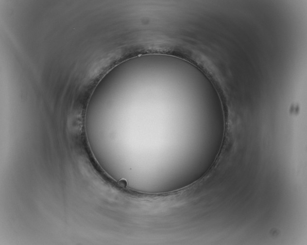 X0000113590017200910021728