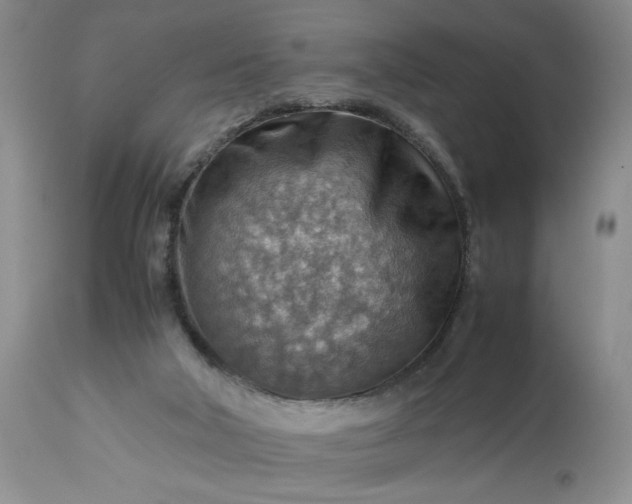 X0000113590018200910021728