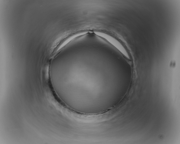 X0000113590019200910021728