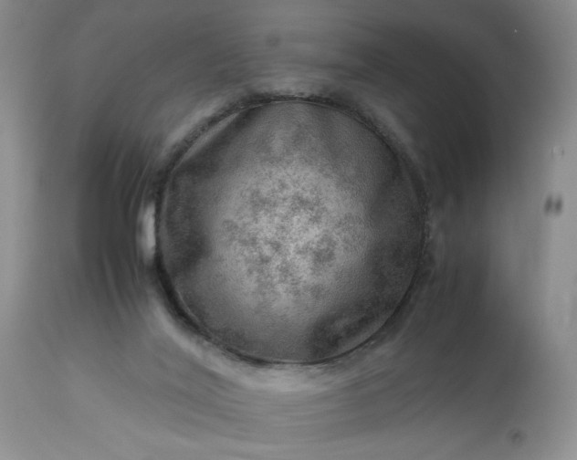 X0000113590020200910021728