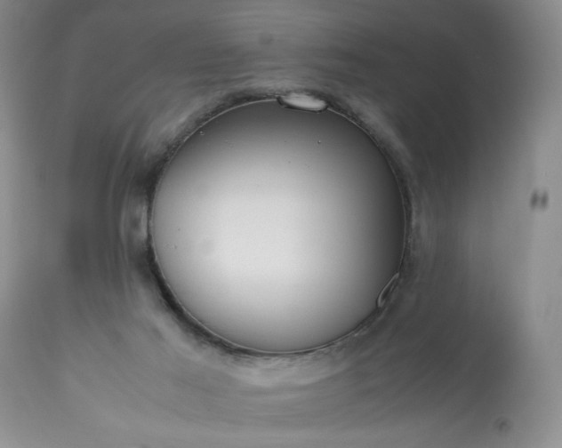 X0000113590021200910021728