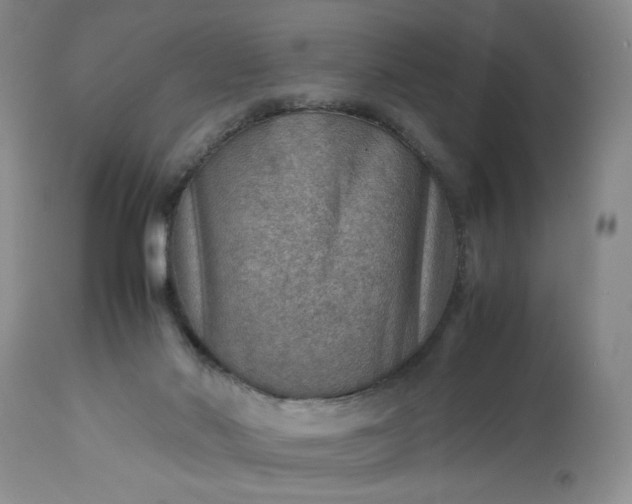 X0000113590022200910021728