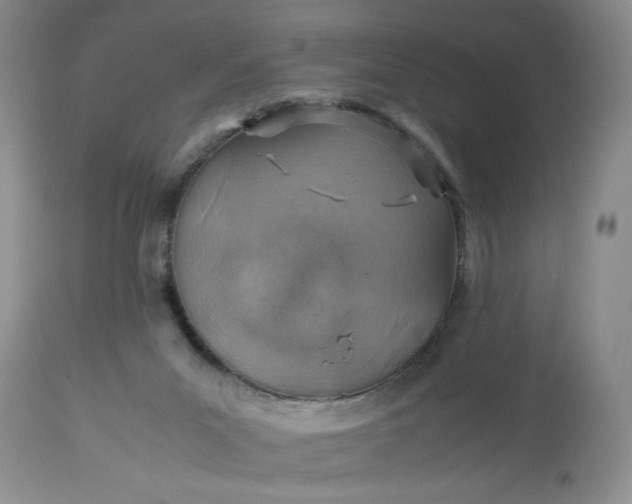 X0000113590023200910021728