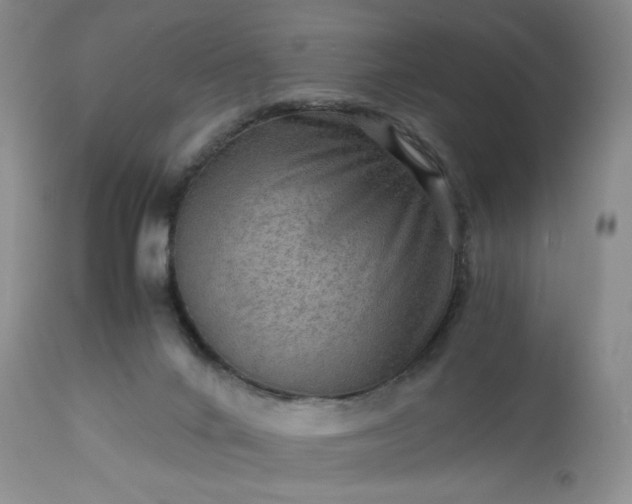 X0000113590024200910021728