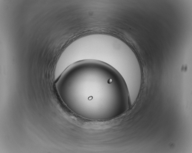 X0000113590025200910021728