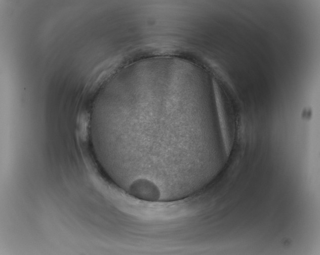 X0000113590026200910021728