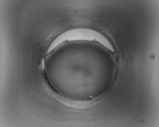 X0000113590027200910021728