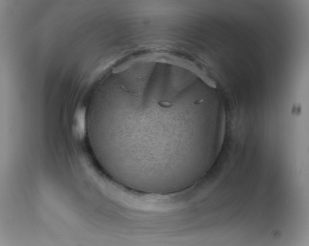 X0000113590028200910021728