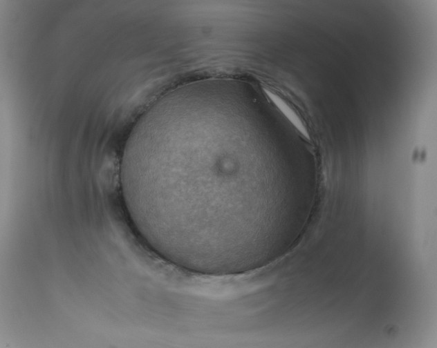 X0000113590029200910021728