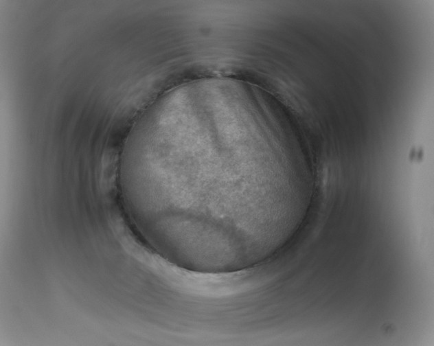 X0000113590030200910021728