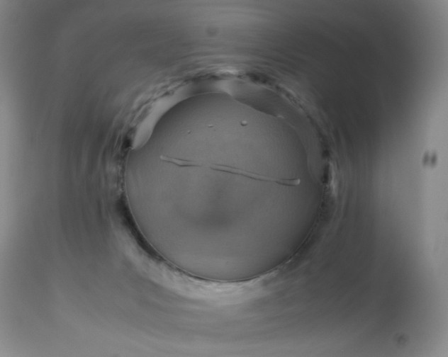 X0000113590031200910021728