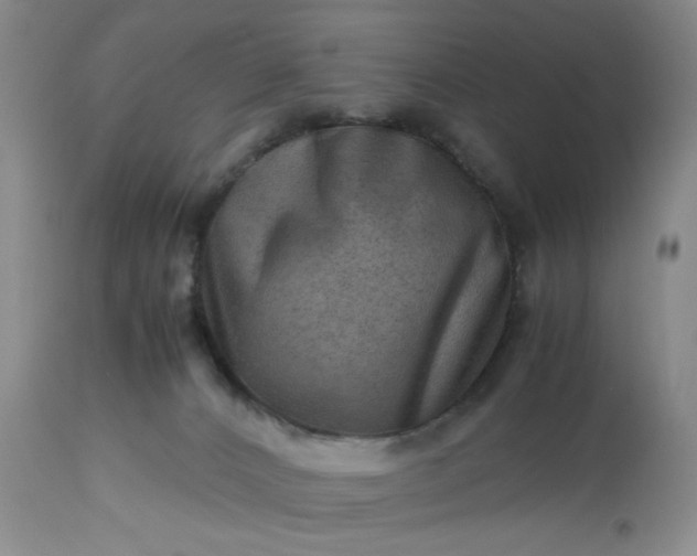 X0000113590032200910021728