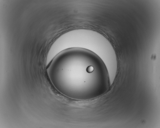 X0000113590033200910021727