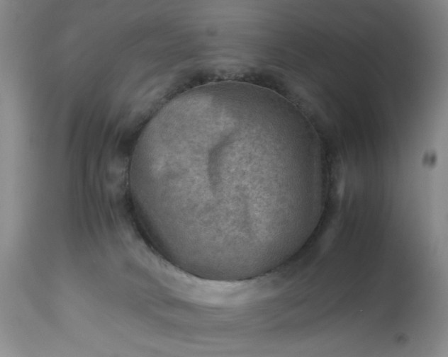 X0000113590034200910021727