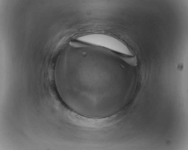 X0000113590035200910021727