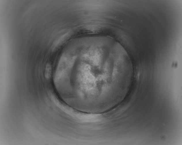 X0000113590036200910021727