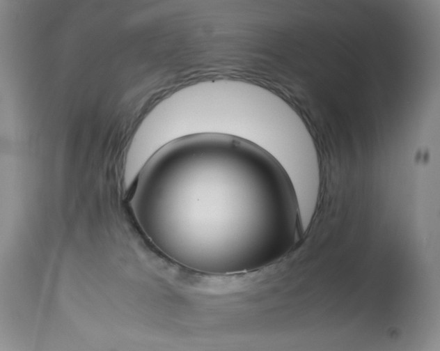 X0000113590037200910021727