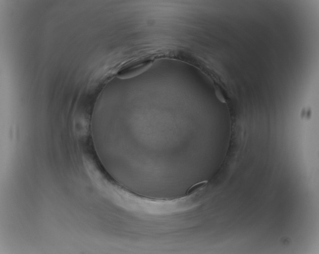 X0000113590039200910021727