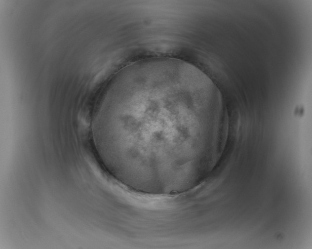 X0000113590040200910021727