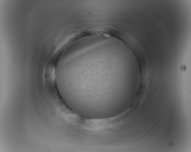 X0000113590041200910021727