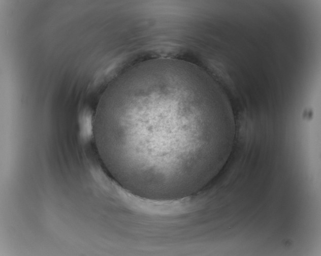 X0000113590042200910021727