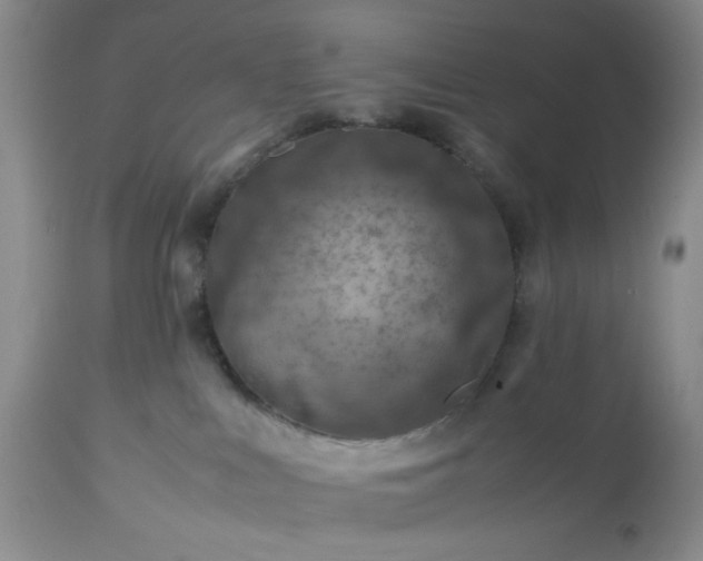 X0000113590043200910021727