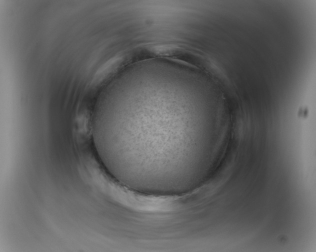 X0000113590044200910021727