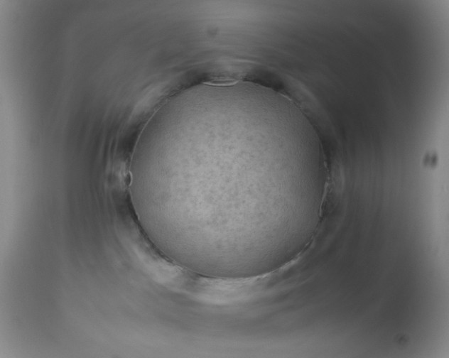 X0000113590045200910021727