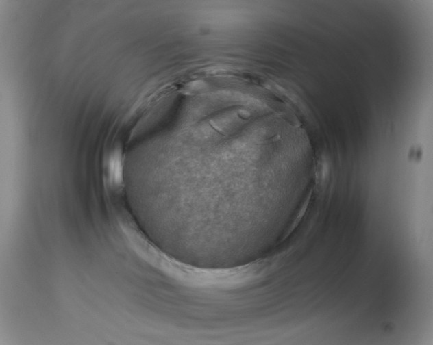 X0000113590046200910021727