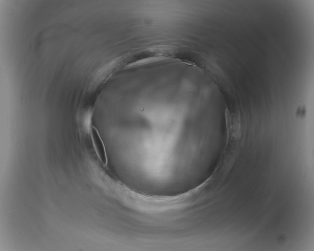 X0000113590047200910021727