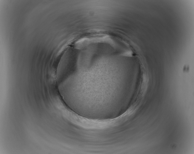 X0000113590048200910021727