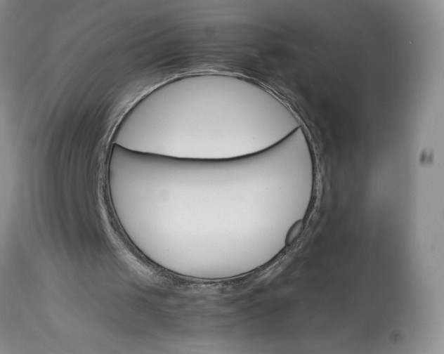 X0000113590049200910021727