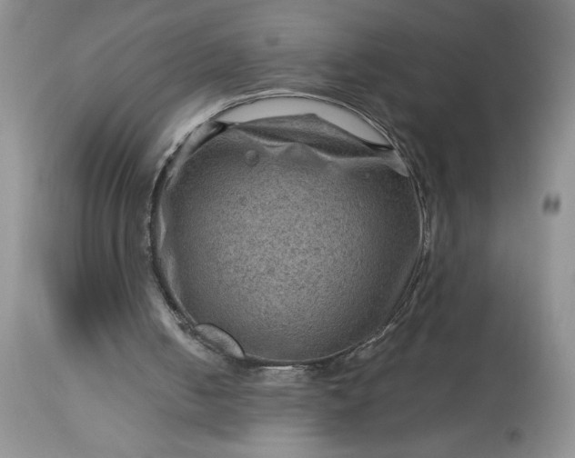 X0000113590050200910021727