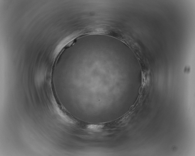 X0000113590051200910021727