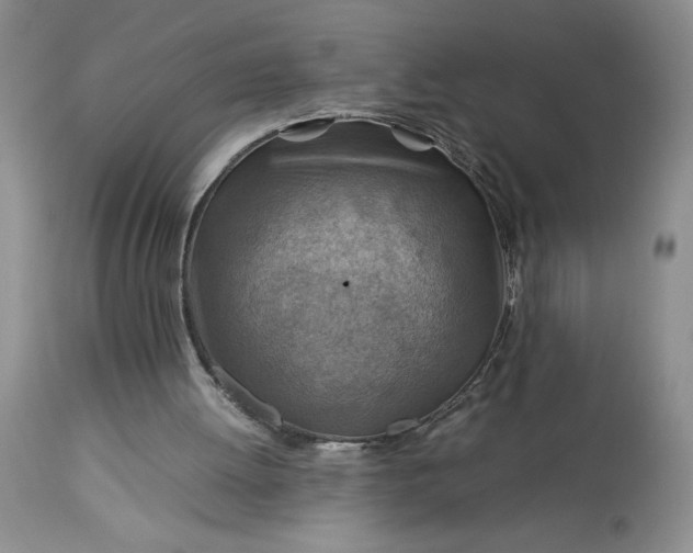 X0000113590052200910021727