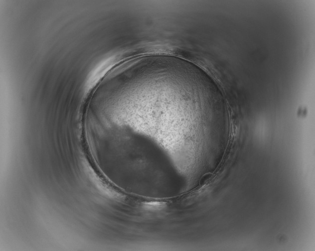 X0000113590053200910021727