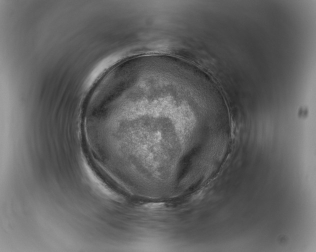 X0000113590054200910021727