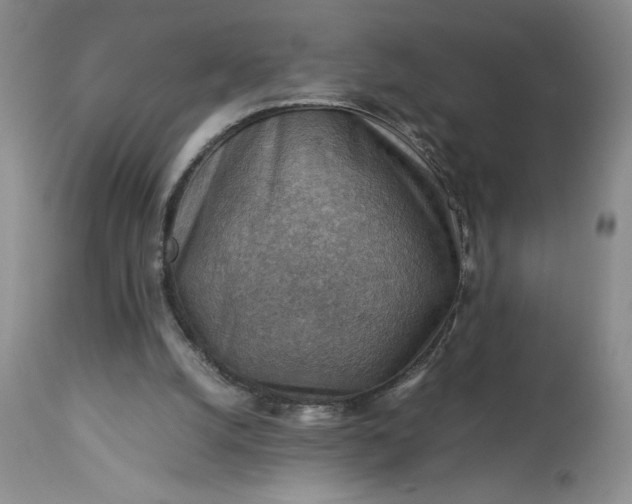 X0000113590056200910021727