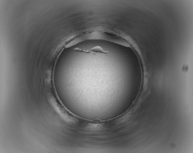 X0000113590057200910021727