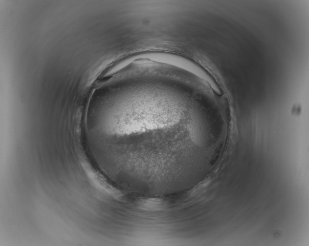 X0000113590058200910021727