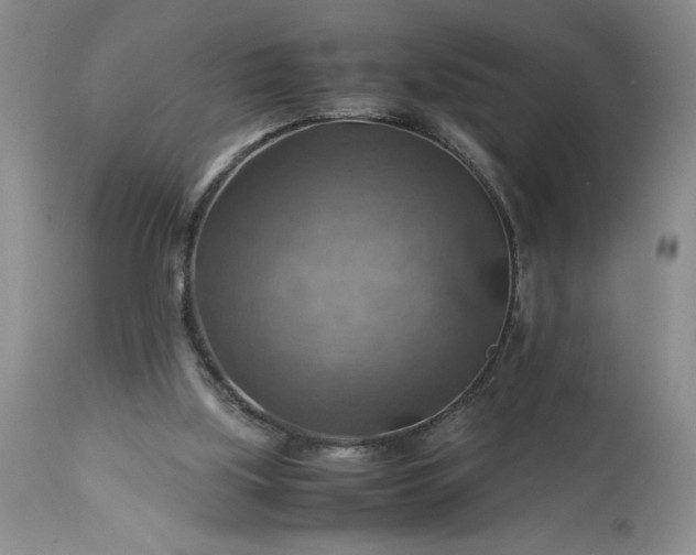 X0000113590059200910021727