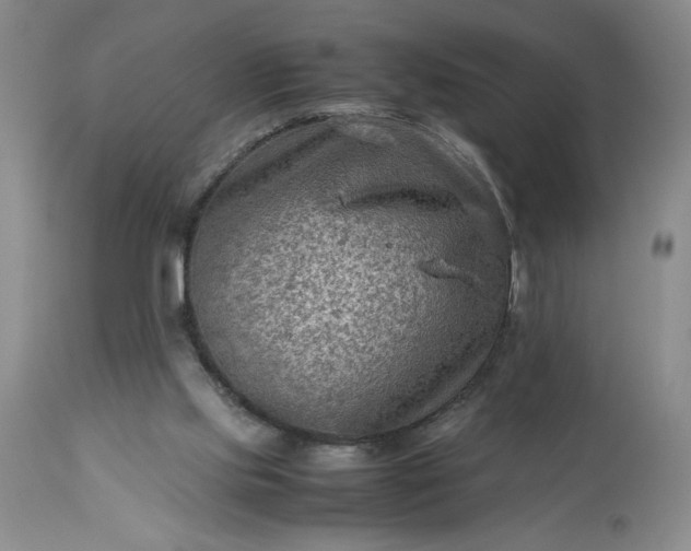 X0000113590061200910021727