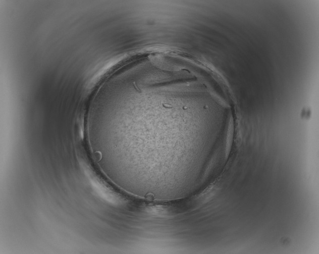 X0000113590062200910021727