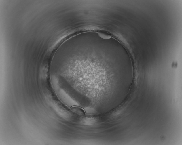 X0000113590063200910021727