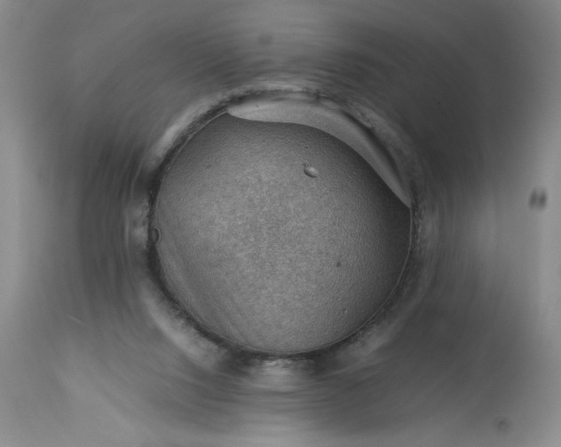 X0000113590064200910021727