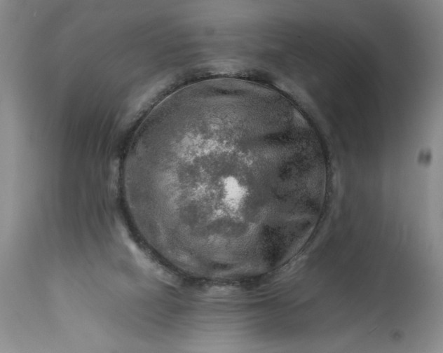 X0000113590066200910021727