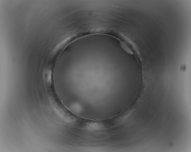 X0000113590067200910021727